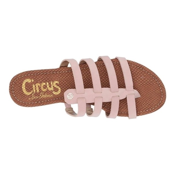 NIB Circus by Sam Edelman Colby Flat Sandal - Picture 4 of 12